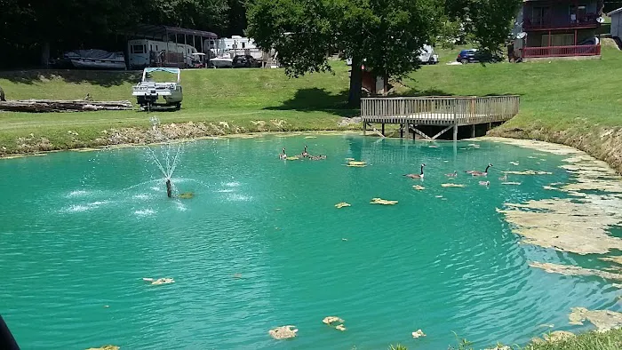 Lake Cove Resort & Realty Picture 9