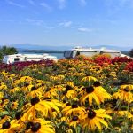 Anchor Down RV Resort