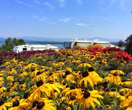 Anchor Down RV Resort