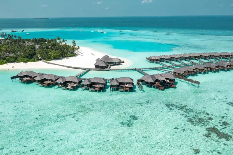 Top Destinations for Luxury Diving Vacations: A Curated Guide