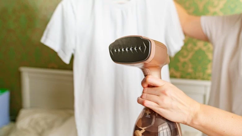 The Best Travel Steamers for Wrinkle Release