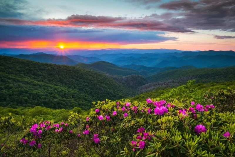 A Guide to the Best Time to Visit the Blue Ridge Parkway