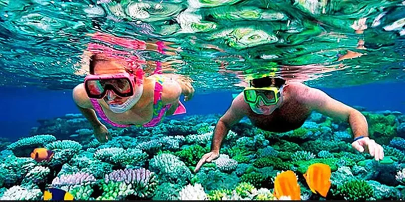 The Top Snorkeling and Diving Spots in the USA (Hawaii, Florida) | Best Places for Underwater Adventures