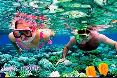 The Top Snorkeling and Diving Spots in the USA (Hawaii, Florida) | Best Places for Underwater Adventures
