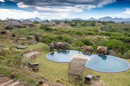 What Are the Best Luxury Safari Lodges in Africa?