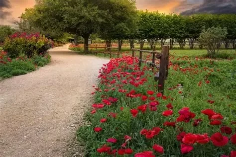 A Guide to Visiting Texas Hill Country in the Spring