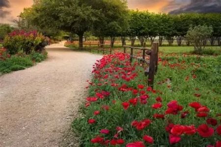 A Guide to Visiting Texas Hill Country in the Spring