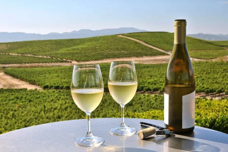 A Guide to the Wine Regions of California: Napa vs. Sonoma