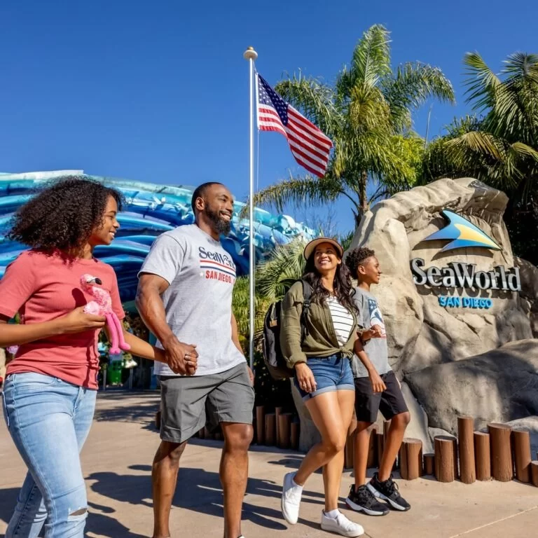 The Top Amusement Parks in the USA Beyond Disney and Universal — 10 Thrill-Packed Alternatives Worth the Trip