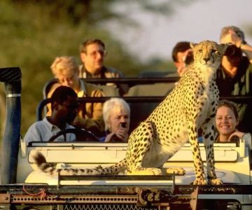 The Call of the Wild: Best Luxury Adventure Travel Experiences Around the World