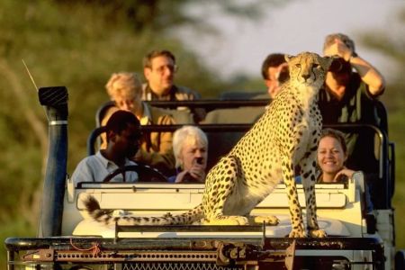 The Call of the Wild: Best Luxury Adventure Travel Experiences Around the World