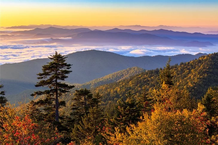 A Guide to the Best Time to Visit the Great Smoky Mountains
