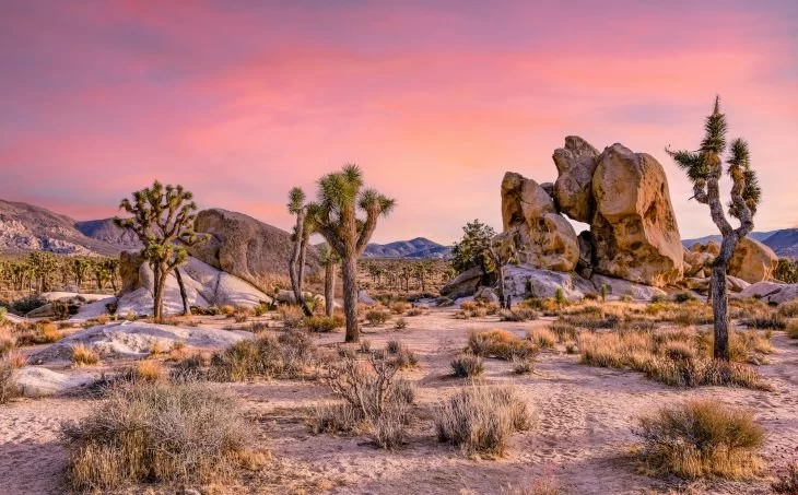 A Guide to the Best Time to Visit the California Desert (Death Valley, Joshua Tree)