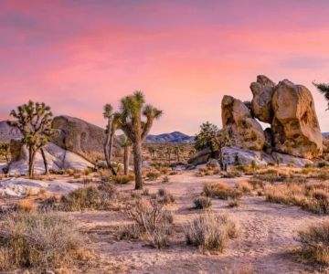 A Guide to the Best Time to Visit the California Desert (Death Valley, Joshua Tree)