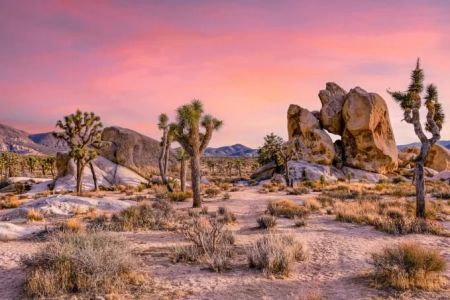 A Guide to the Best Time to Visit the California Desert (Death Valley, Joshua Tree)