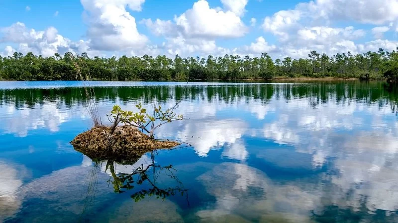 A Guide to the Best Time to Visit the Florida Everglades