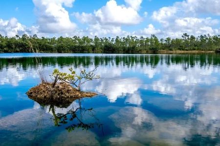 A Guide to the Best Time to Visit the Florida Everglades