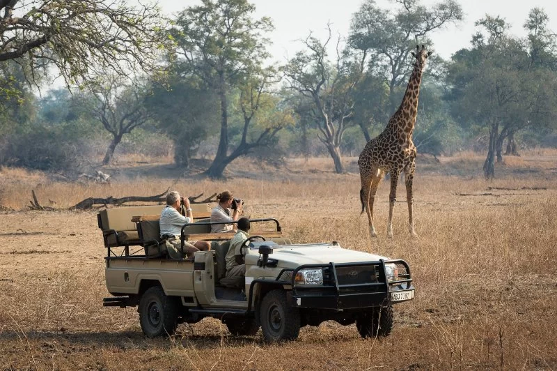 How to Book a Luxury Safari Trip to Zambia – Expert Tips for Planning Your Adventure