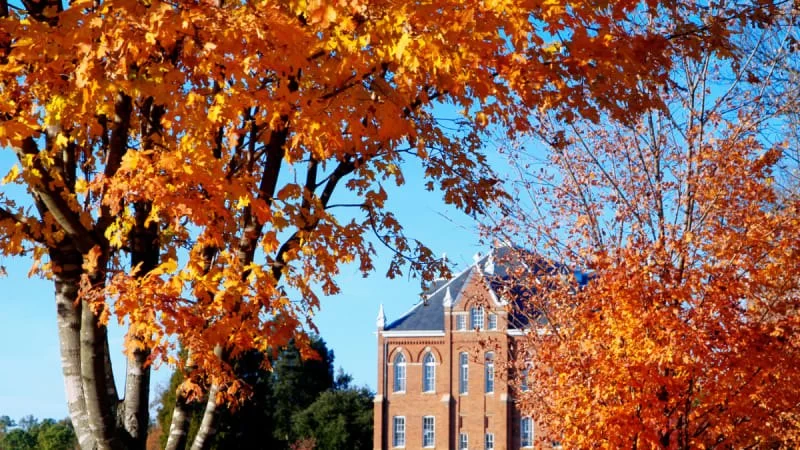 The Most Beautiful College Campuses to Visit in the USA | Refined Travel
