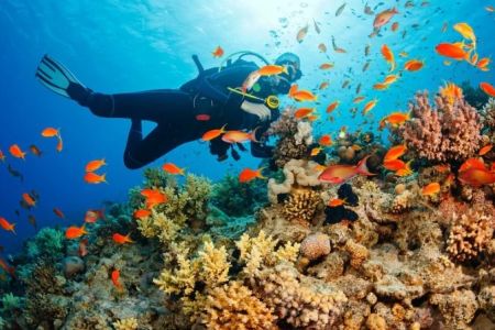Top Destinations for Luxury Diving Vacations