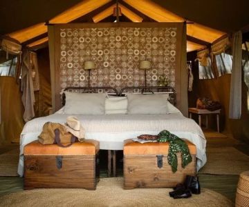 Luxury Safari-Style Camping in America: A Complete Guide