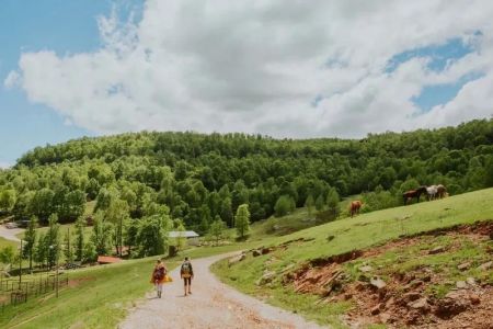 Amazing Road Trip Routes Through America’s Heartland