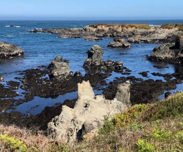 Guide to America’s Most Impressive Marine Terraces: Natural Wonders by the Sea