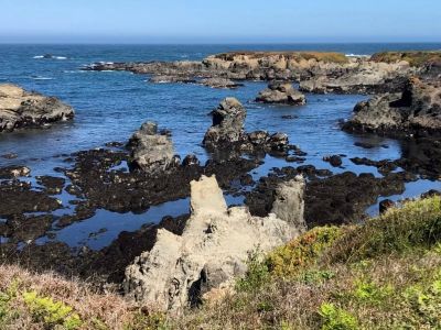 Guide to America’s Most Impressive Marine Terraces: Natural Wonders by the Sea