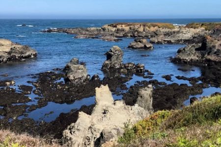 Guide to America’s Most Impressive Marine Terraces: Natural Wonders by the Sea