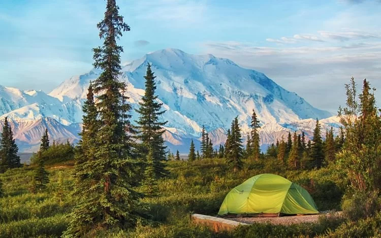 Best Campgrounds With Scenic Forest Clearings
