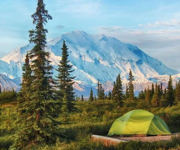 Best Campgrounds With Scenic Forest Clearings