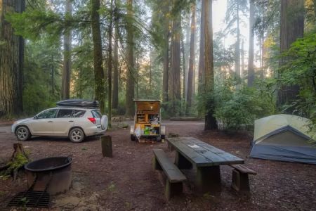 Best Campgrounds in Forested Mountain Regions for an Unforgettable Outdoor Experience