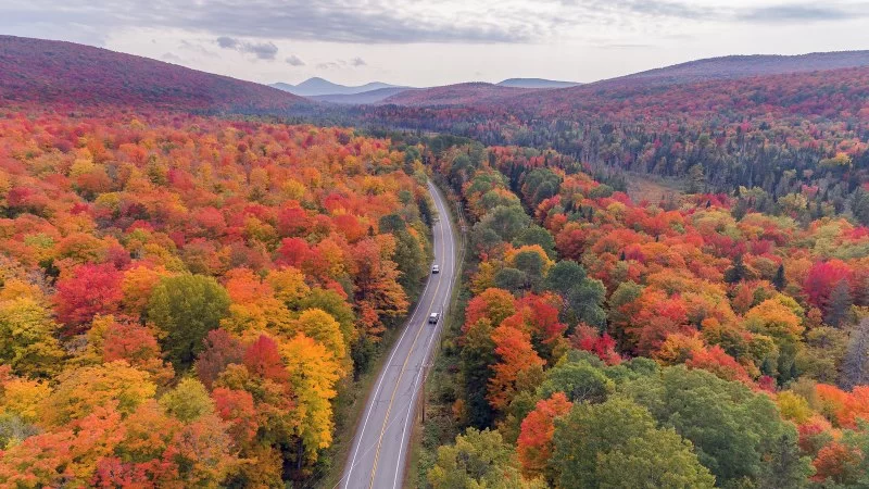 Best Scenic Destinations for Road Trips in the Northeast