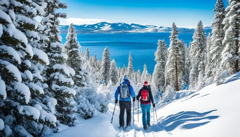 Best U.S. Destinations for Snowshoeing Adventures: Top Locations to Explore