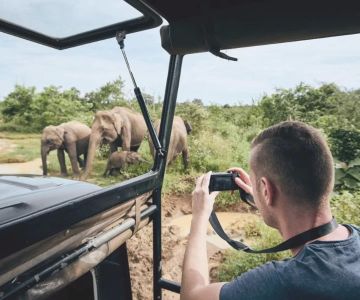 How to Plan a Wildlife Photography Road Trip – Expert Tips for Capturing Nature