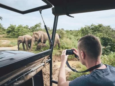 How to Plan a Wildlife Photography Road Trip – Expert Tips for Capturing Nature