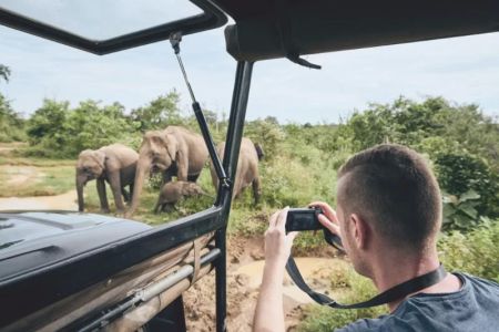 How to Plan a Wildlife Photography Road Trip – Expert Tips for Capturing Nature