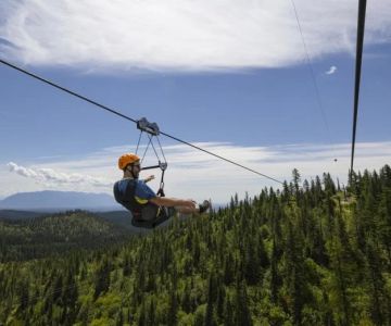 Best Places to Go Outdoor Ziplining in the U.S. – Top Adventure Spots