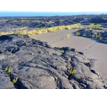 Best Lava Fields to Visit in the U.S.