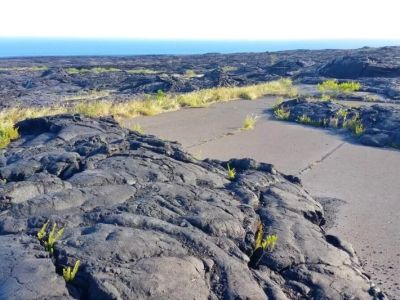 Best Lava Fields to Visit in the U.S.