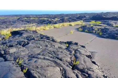 Best Lava Fields to Visit in the U.S.