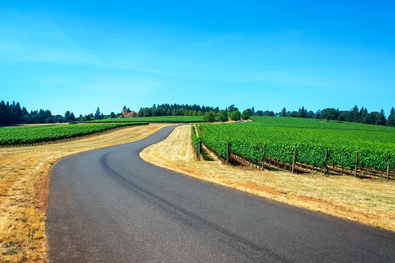 How to Plan a Road Trip Through America’s Vineyards