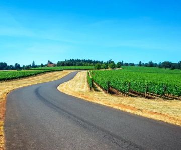 How to Plan a Road Trip Through America’s Vineyards