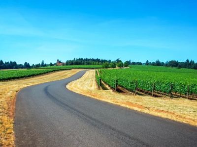 How to Plan a Road Trip Through America’s Vineyards