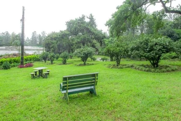 How to Plan a Southern U.S. Plantation Trail for an Educational Experience
