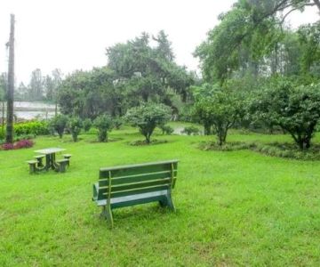 How to Plan a Southern U.S. Plantation Trail for an Educational Experience