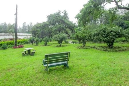 How to Plan a Southern U.S. Plantation Trail for an Educational Experience