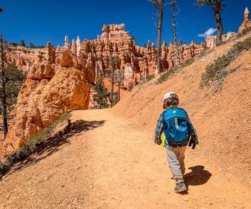 Family Budget Travel Guide to National Parks | Affordable Travel Tips for Families