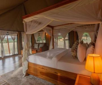 Guide to Luxury Safari-Style Camping in America: Experience the Best