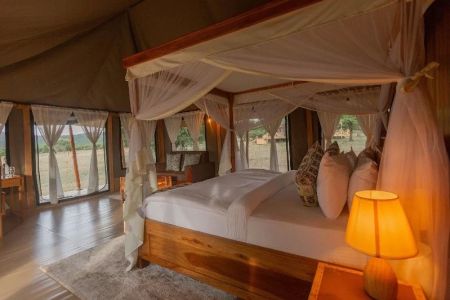 Guide to Luxury Safari-Style Camping in America: Experience the Best